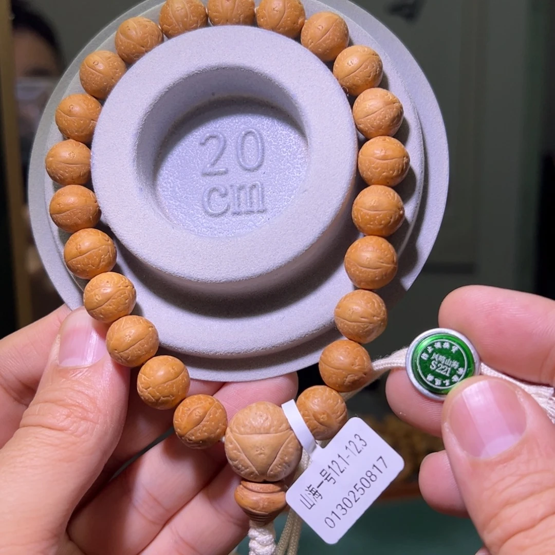 吊坠凤眼菩提25新籽、山海