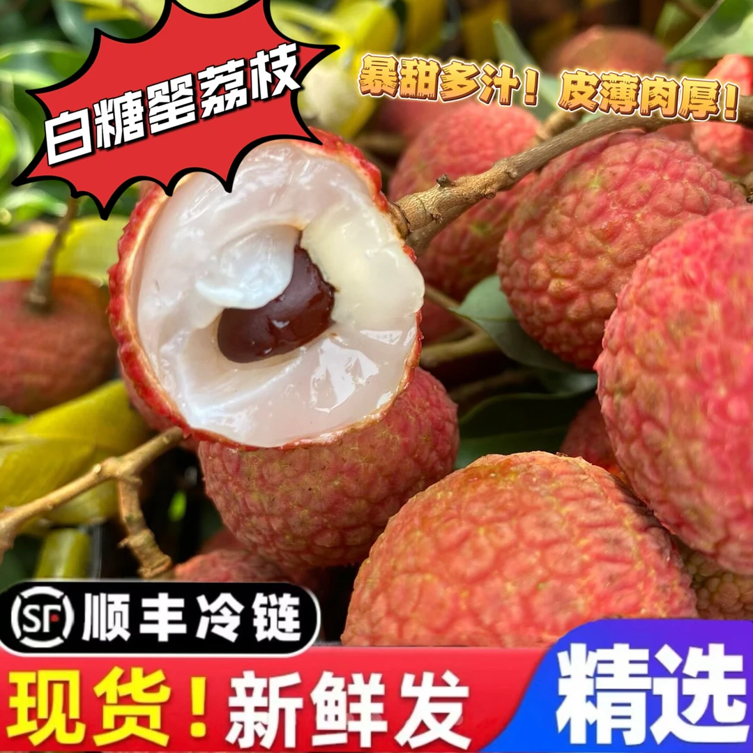 白糖罂荔枝广东省茂名优质品种皮薄肉厚核小果肉爽脆清甜带蜜味