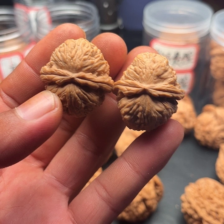 把件文玩核桃白狮30