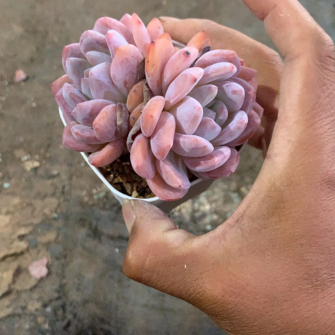 你也快回来吃饭哦我