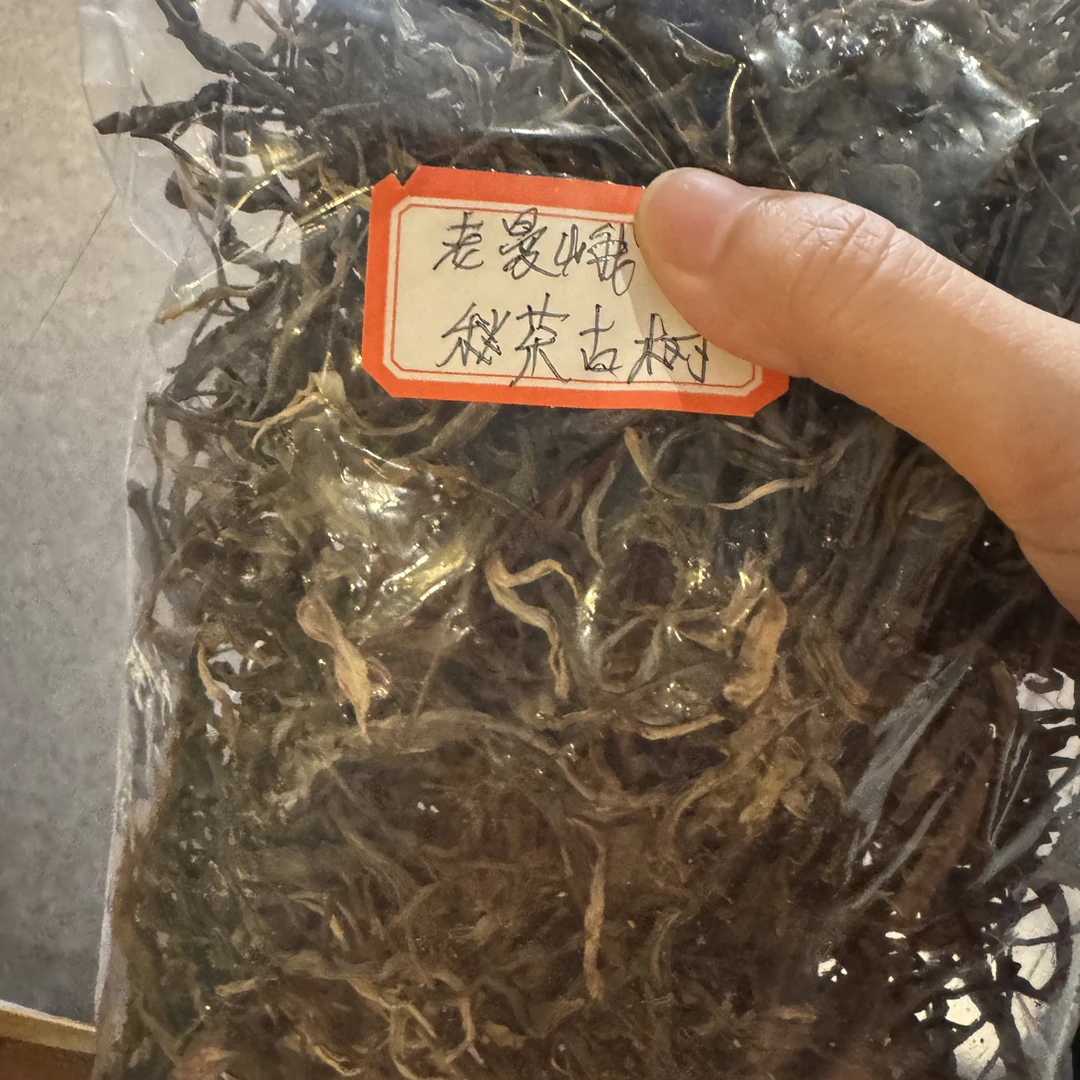《厂长专属福利》2025年老曼峨古树秋茶