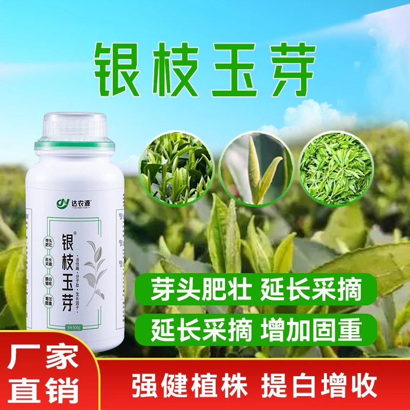 银枝玉芽催芽叶面肥提高白化度延长采摘周期防冻抗病提固重