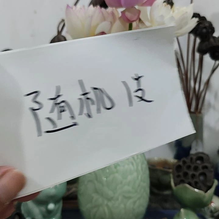 当前无花栽培后可以开花☆福利:随机1支