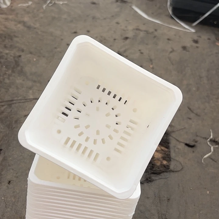 140白方盆13公分高10公分12个