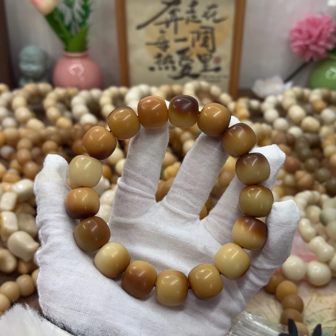 吊坠菩提根/象牙果16干磨瑕疵落地果320