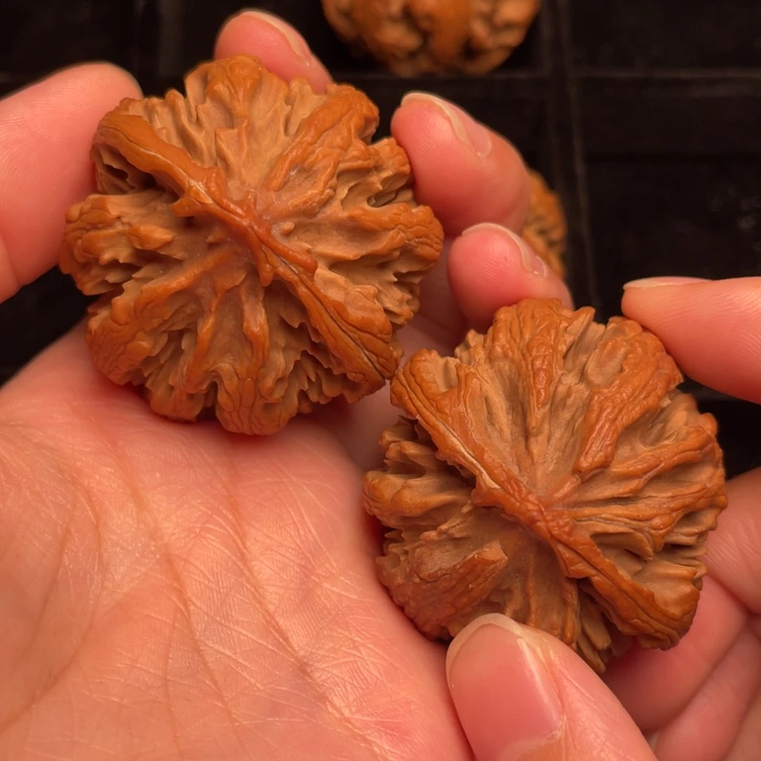 秦岭野生文玩核桃