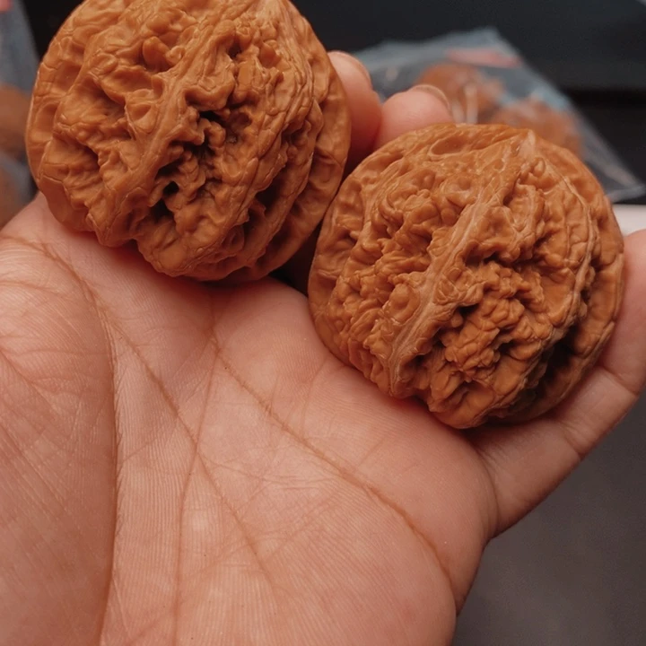 核桃大粗筋45尺核桃
