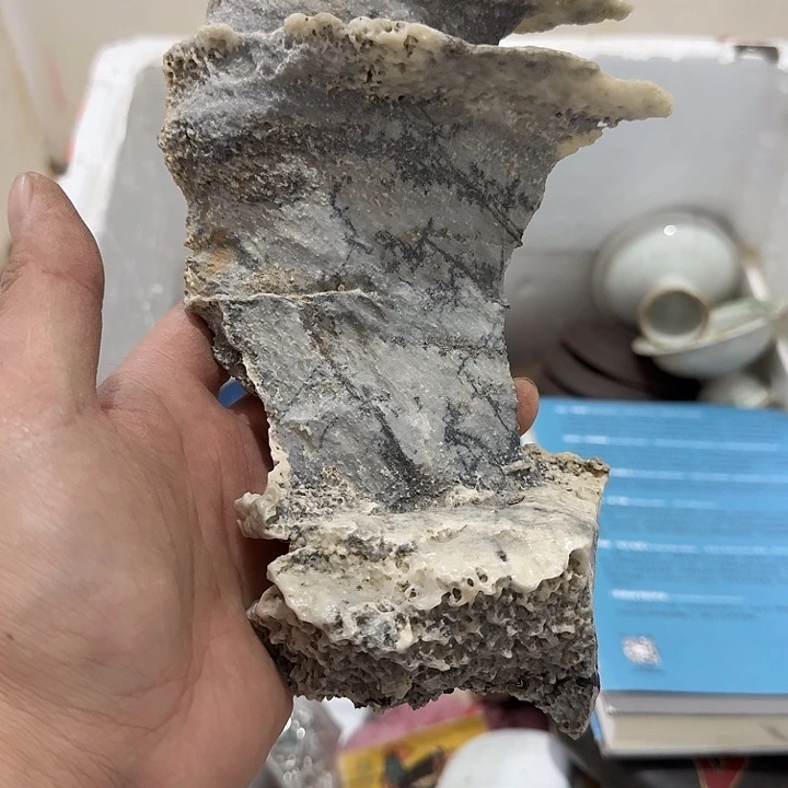 大***恒扇子 不恍恍惚惚保护好吧你不恍恍惚惚