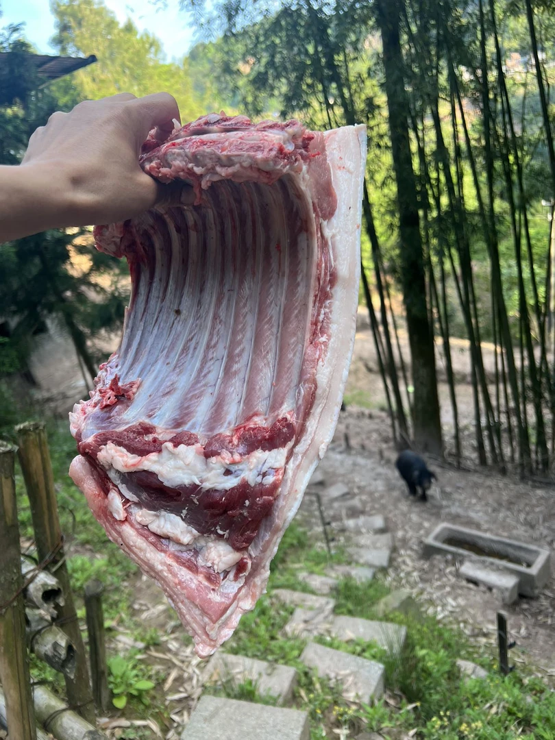 (A链接)生态散养土黑猪顺丰包邮