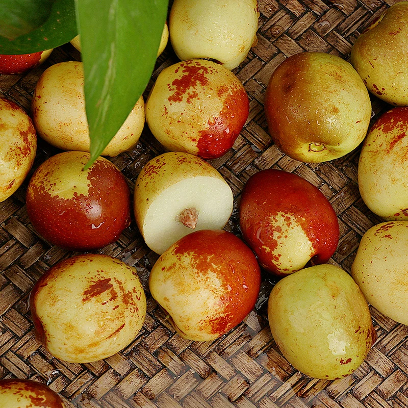 【我是simi专属】陕西大荔冬枣现摘现发皮薄肉厚甜蜜酥脆自然树熟枣