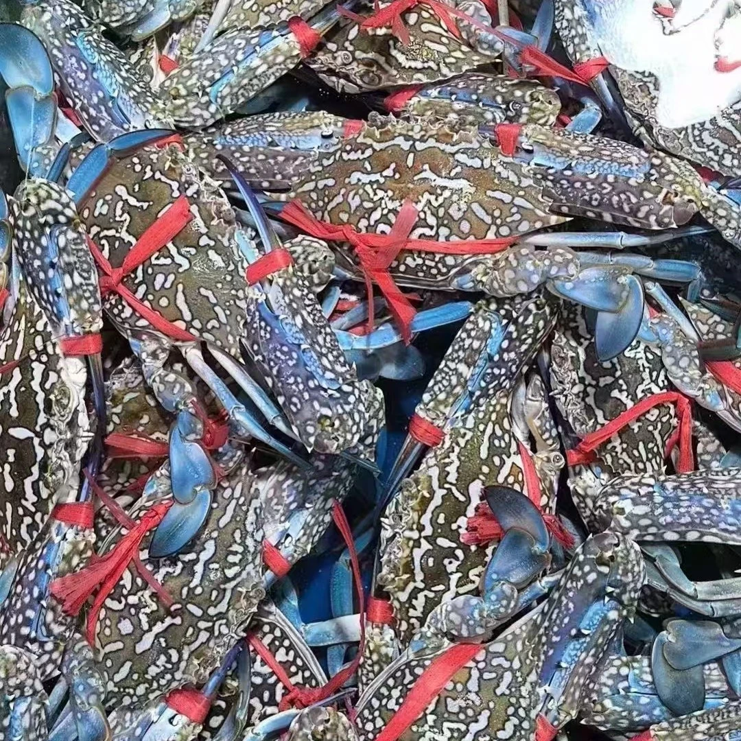 鲜活生猛花蟹500g默认不宰杀。需要处理留言备注