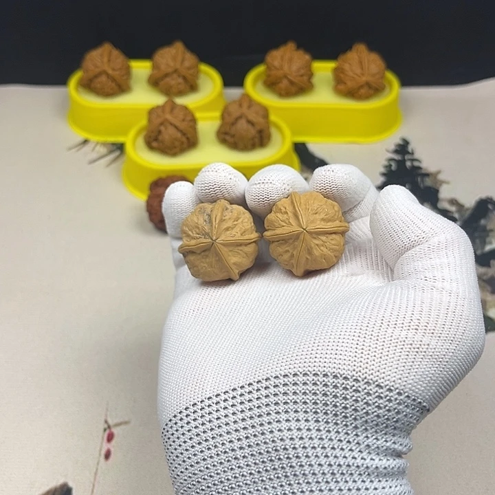 核桃核桃等经济林木有点不是很
