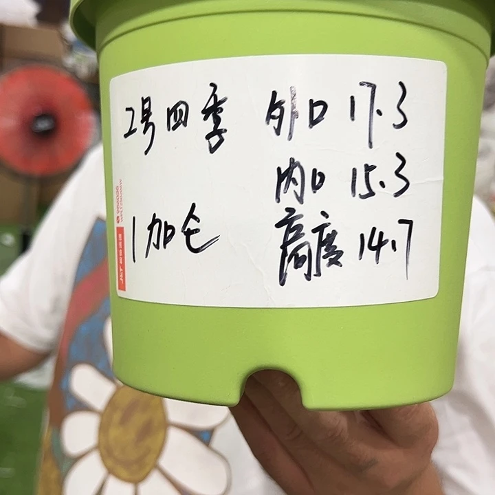 特价2号四季口17高14混色10个无托