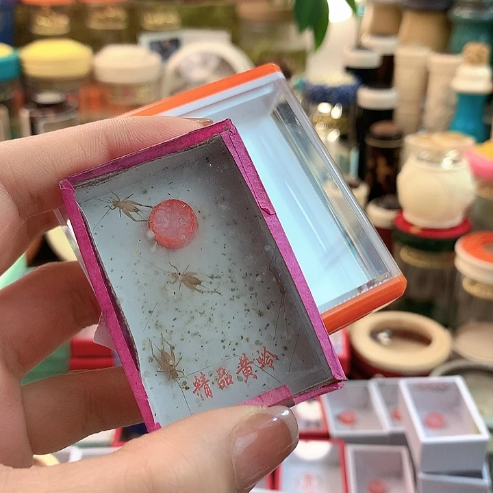 童***趣带三盒小黄蛉橘色啊啊