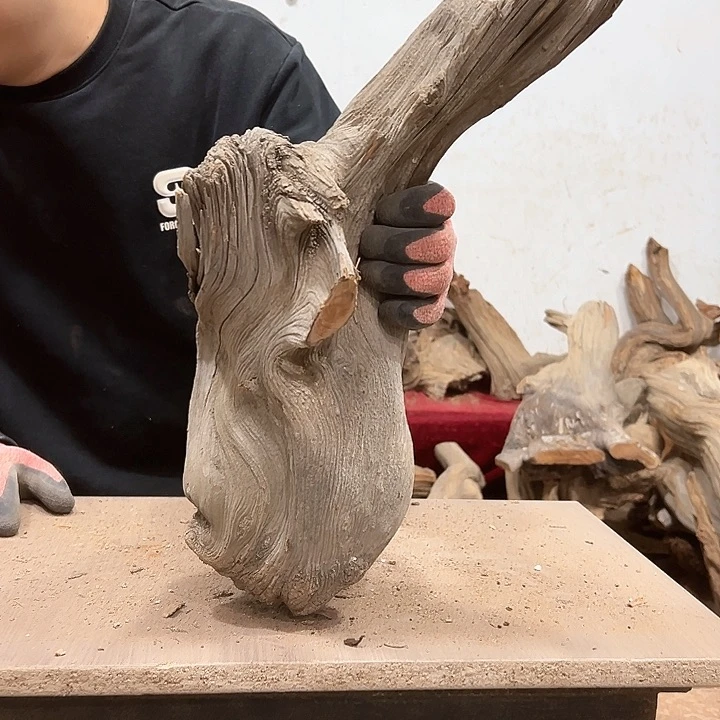 柏木宝****子我们都是好孩子呀我也是