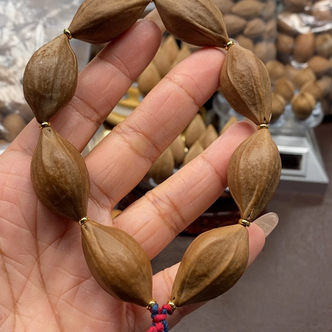 橄榄核原皮素核一条