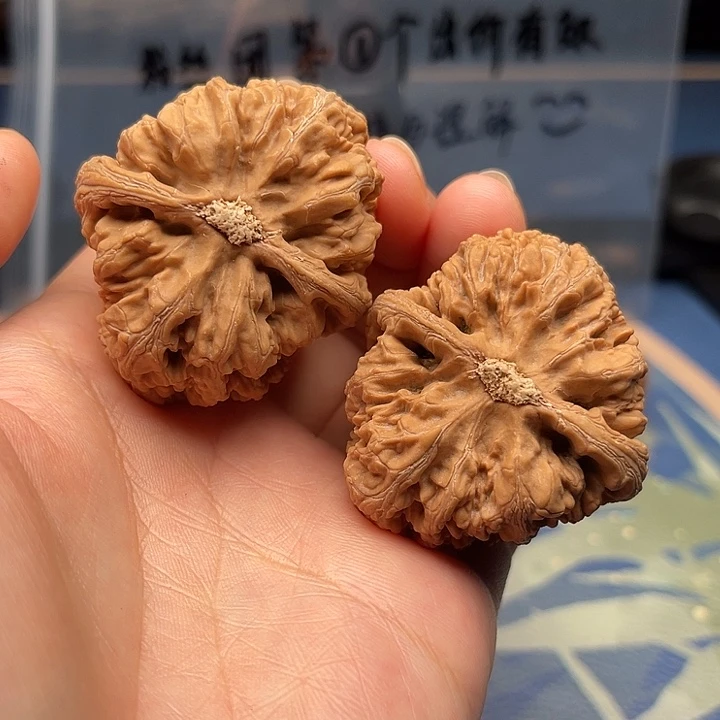 柱***记文玩核桃吊坠粗筋