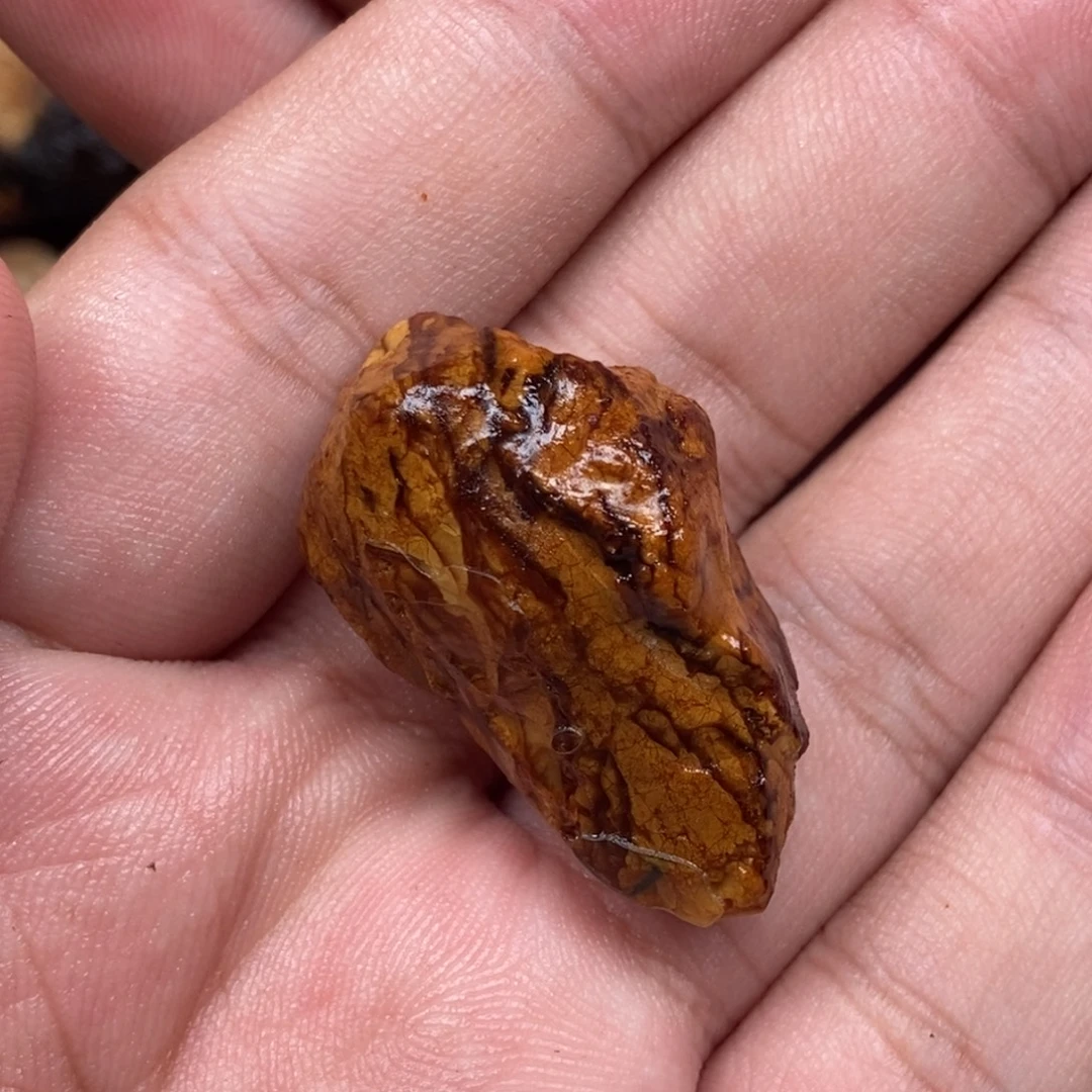 取***顾定制琥珀未镶嵌定制