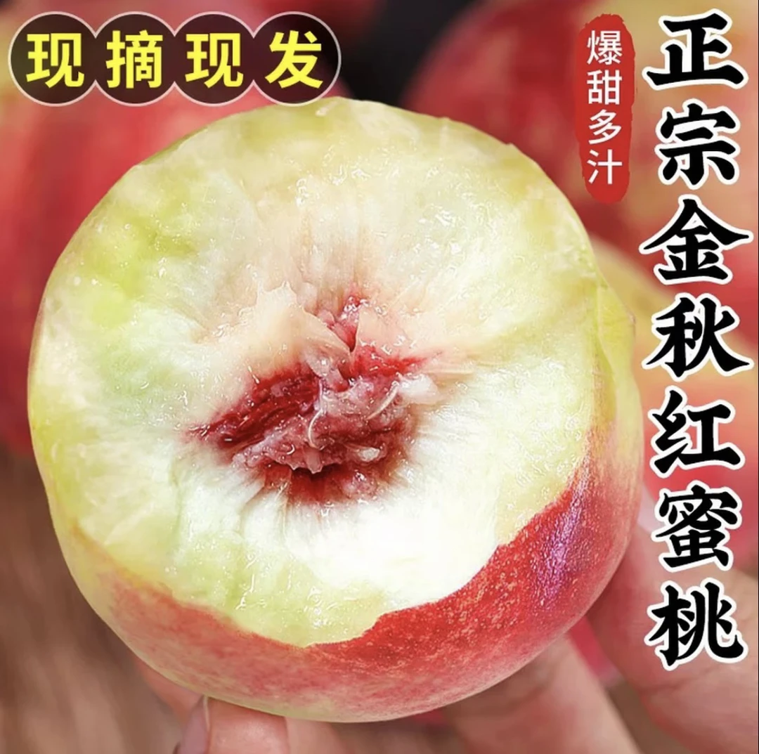 正宗山东金秋红蜜桃子脆甜多汁应季新鲜水果红桃脆桃现摘现发