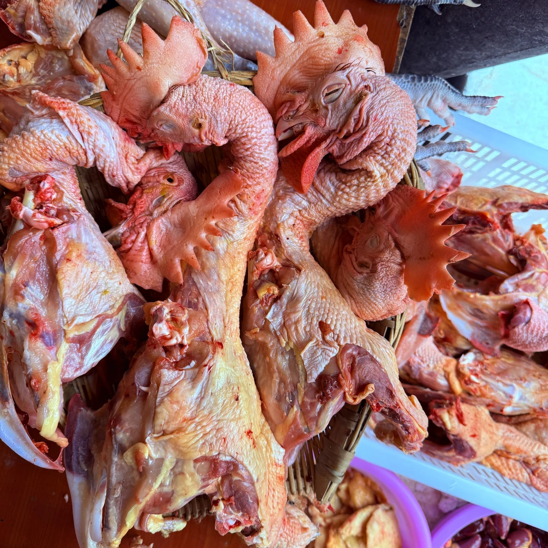 3个带头带脖新鲜鸡架3-3.5斤/顺丰包邮A01