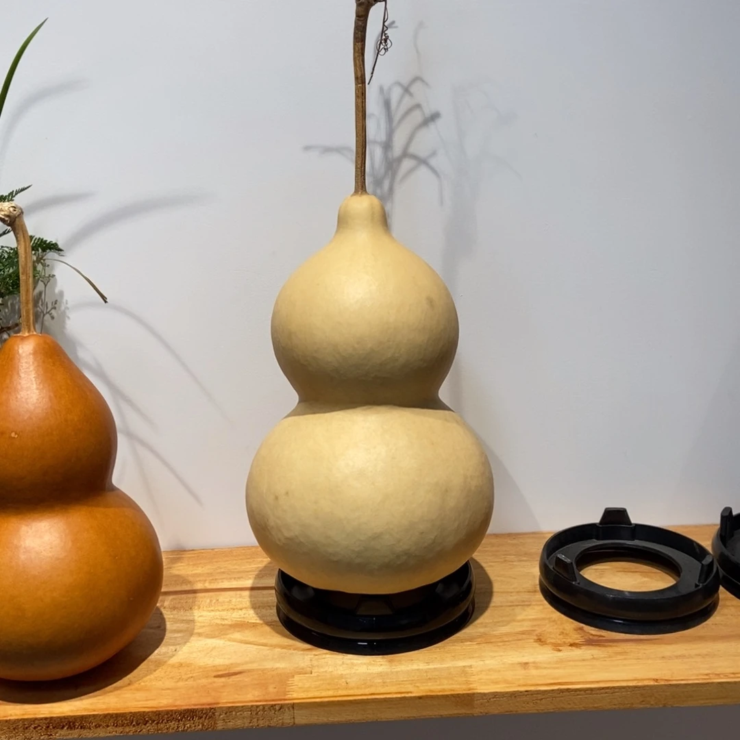 o****哈哈哈哈哈哈哈哈哈哈哈