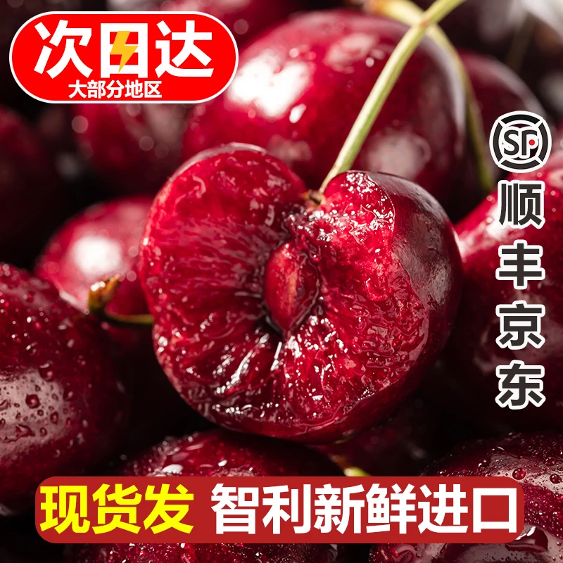 【琪琪精选】智利进新鲜车厘子J-4J海运5斤 内附果径卡