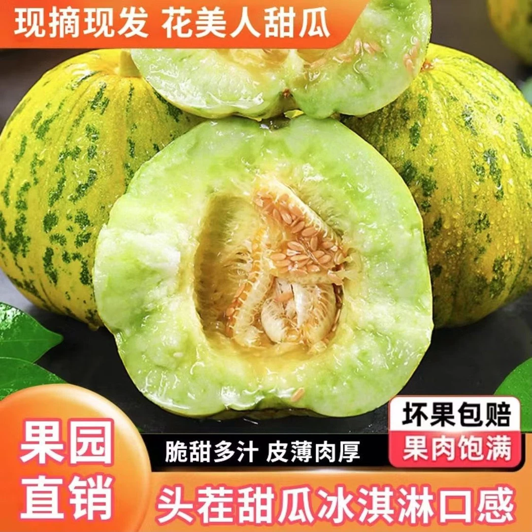 坏果包赔山东头茬八里香甜瓜新鲜现摘香瓜脆甜多汁孕妇水果包邮