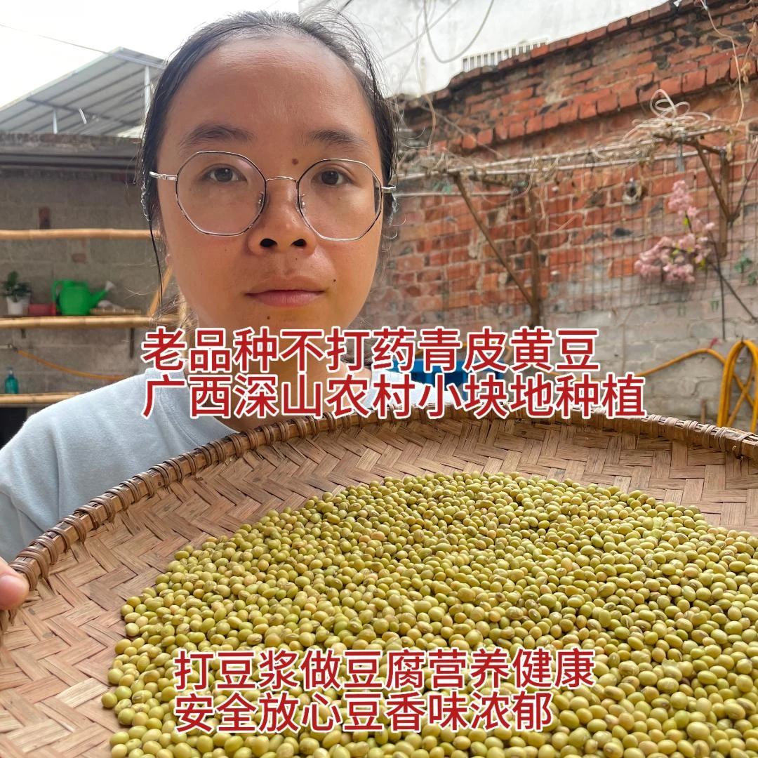 25年新货农村老品种青皮黄豆1斤不打药营养健康广西小块地种植