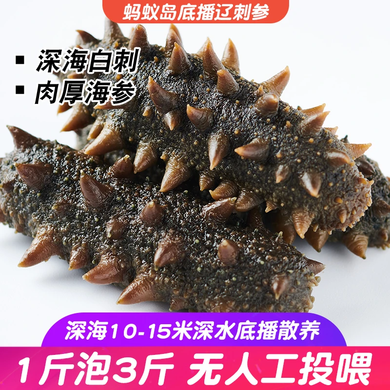 海参3斤大连辽刺参深海拉缸盐半干海参[45头左右/500g]顺丰包邮