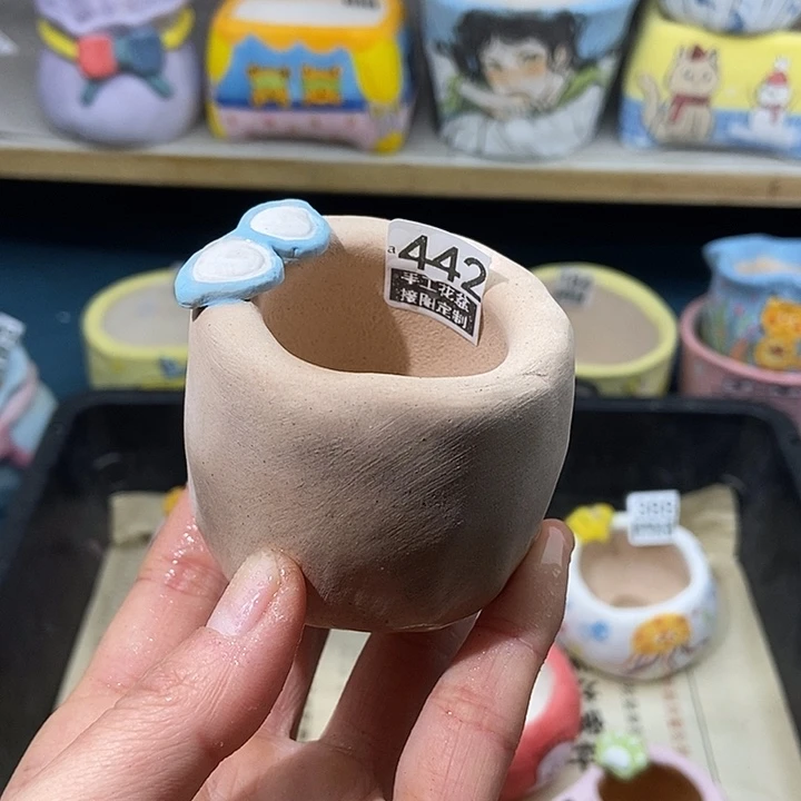 大舅生石花肉锥多肉 442