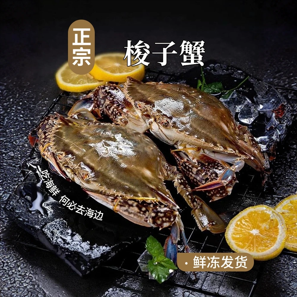 活蟹液氮速冻舟山野生梭子蟹净重三斤（8-10只）4-5两/只产地源头严选蟹【冻蟹】