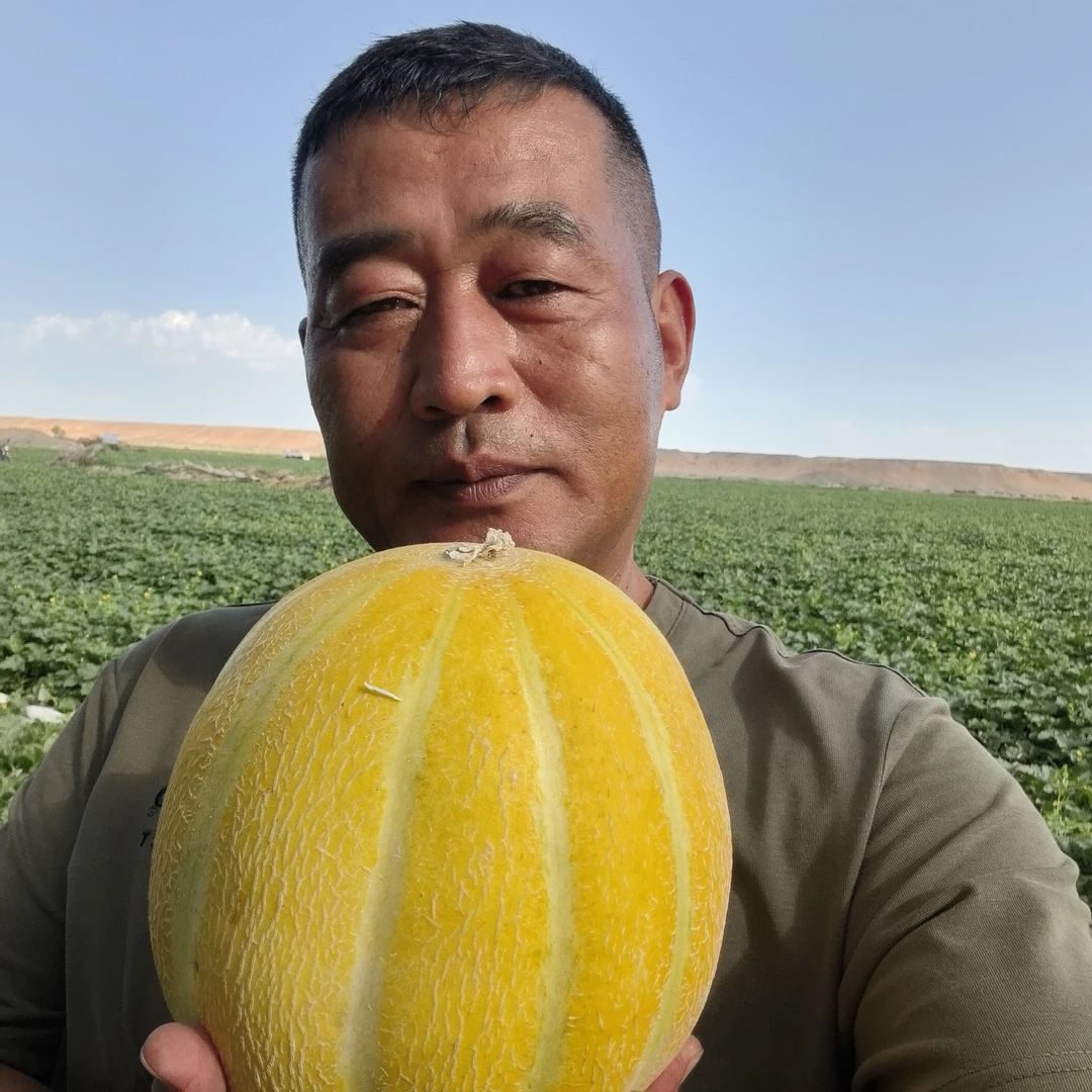 老汉瓜，软糯水甜，到家放两天在吃。