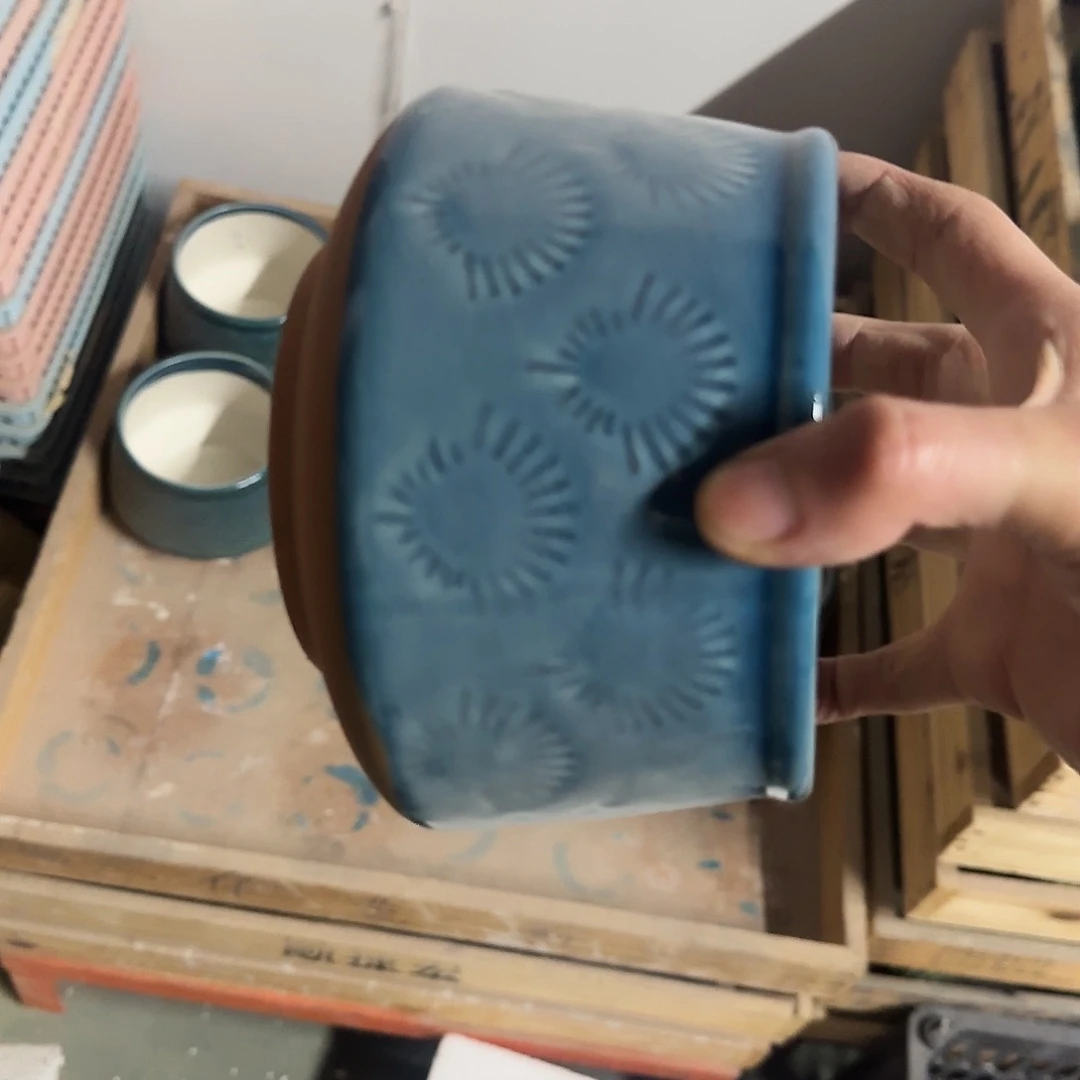 福利局绿植多肉盆［凑9元包邮24小时发］