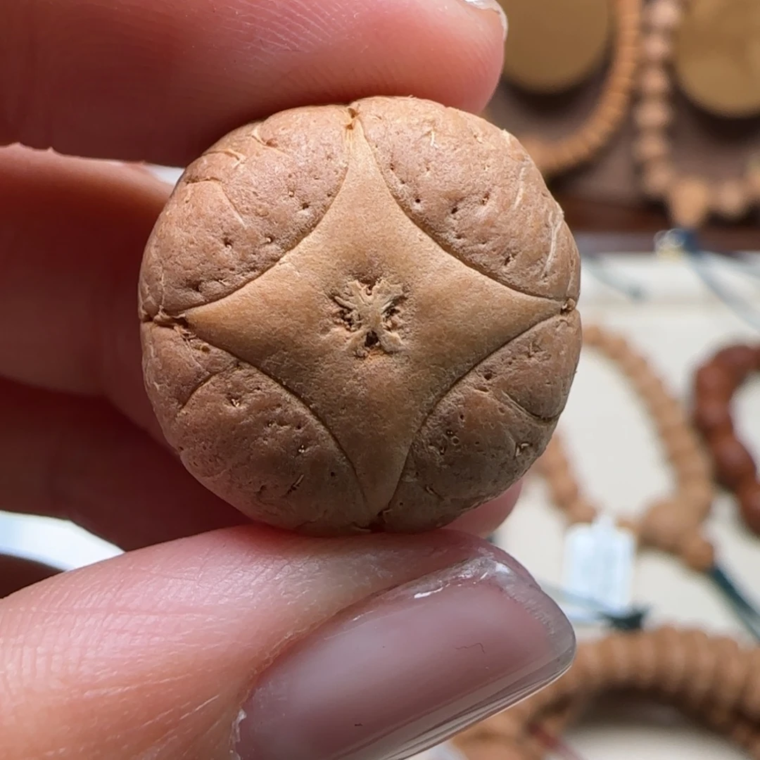 吊坠凤眼菩提19.5-15.6麒麟单颗