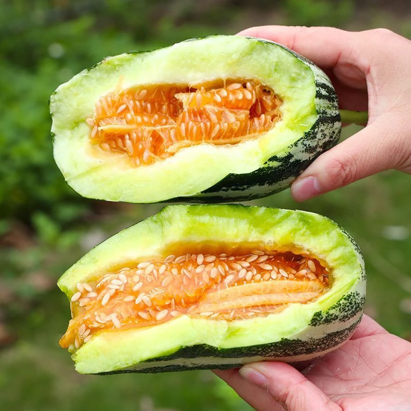 【长春同城】博洋9号羊角蜜 家庭装 4斤