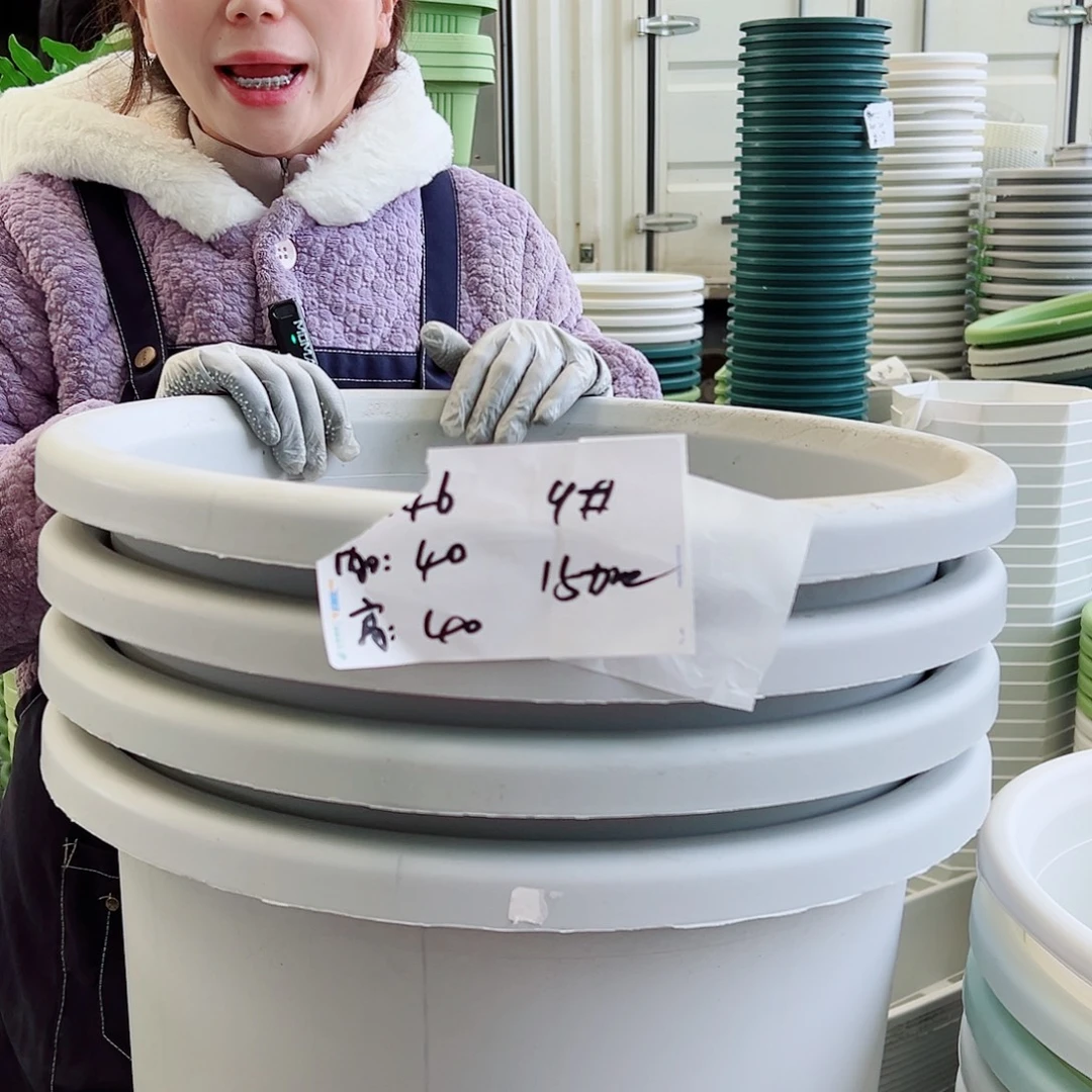 四季盆9#灰白4个无托