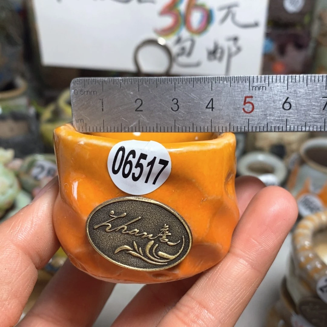 花盆拍5送一个小礼物