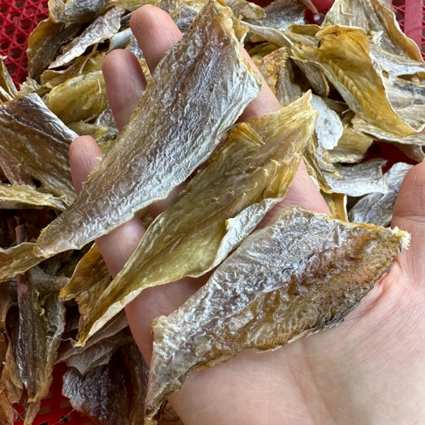 黄花鱼肉划鱼哺划鱼片马宫纯鱼肉汕尾本港干自晒淡干不咸煮汤煎炸