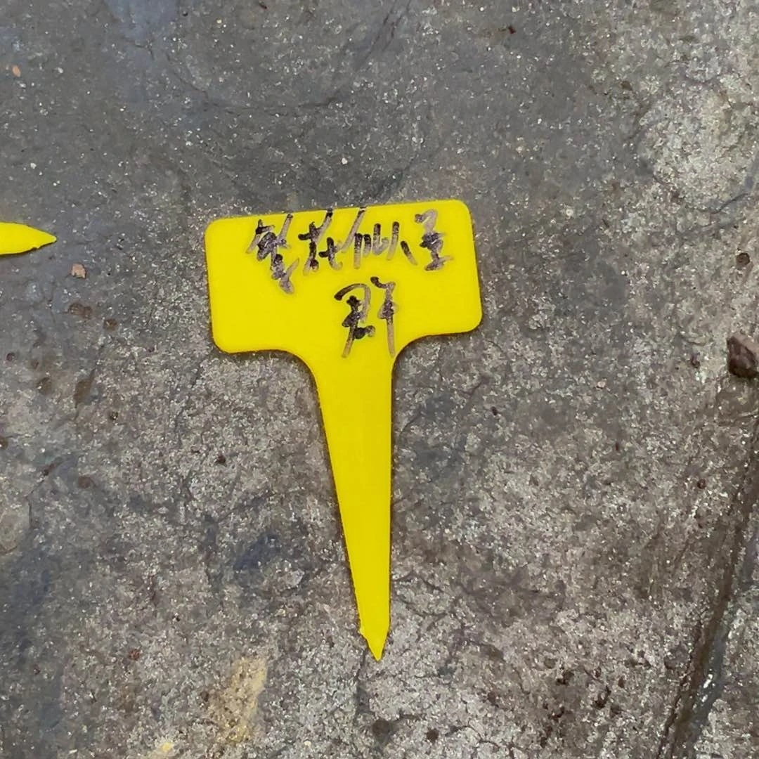 繁**锦呜呜呜呜呜呜呜呜呜我想要