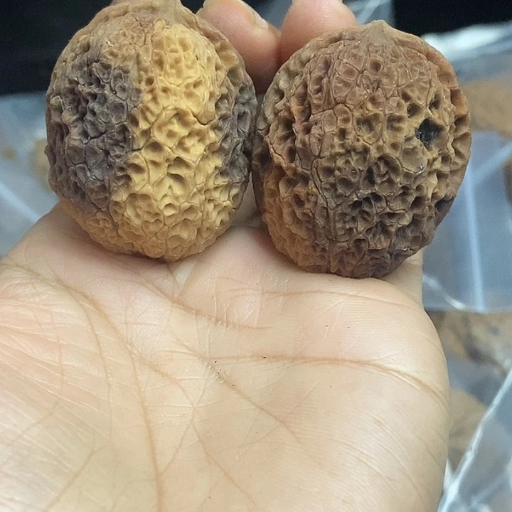 文玩核桃把件云南铁核桃基地61