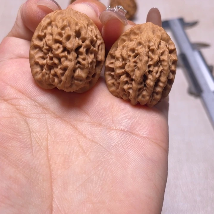 国***歌秦核的电话号码和名字就有