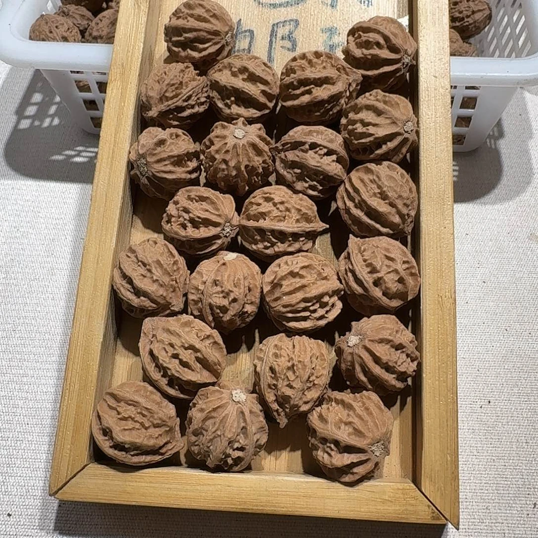 核桃手串/手链5号边24手持