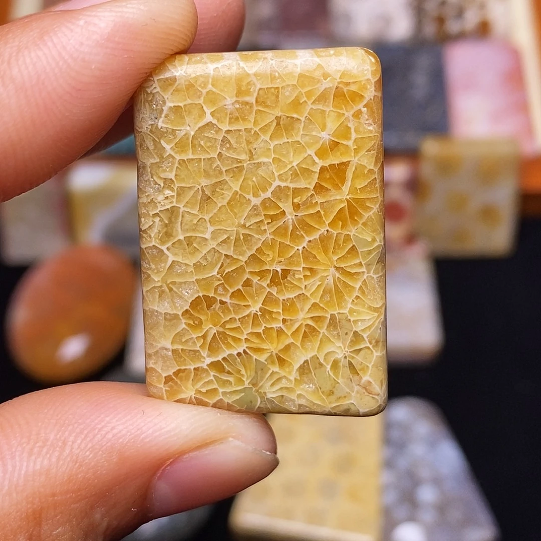 未***见硅化玉合金珊瑚玉