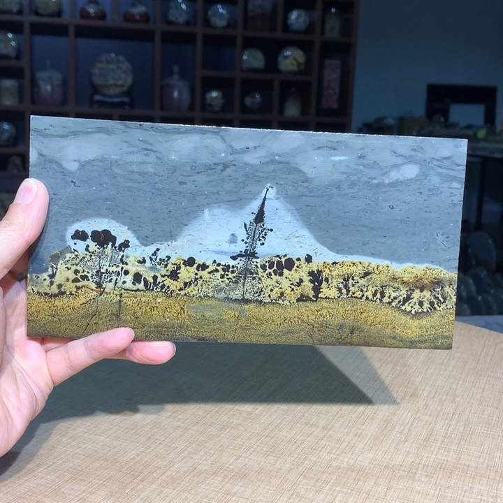 广西国画石摆件，观赏收藏