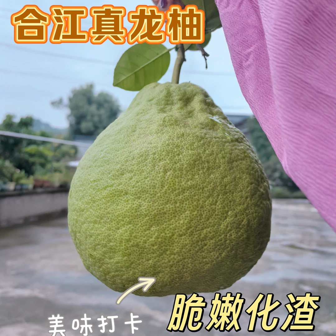 正宗合江真龙柚 纯甜不酸 越放越好吃  全是大果