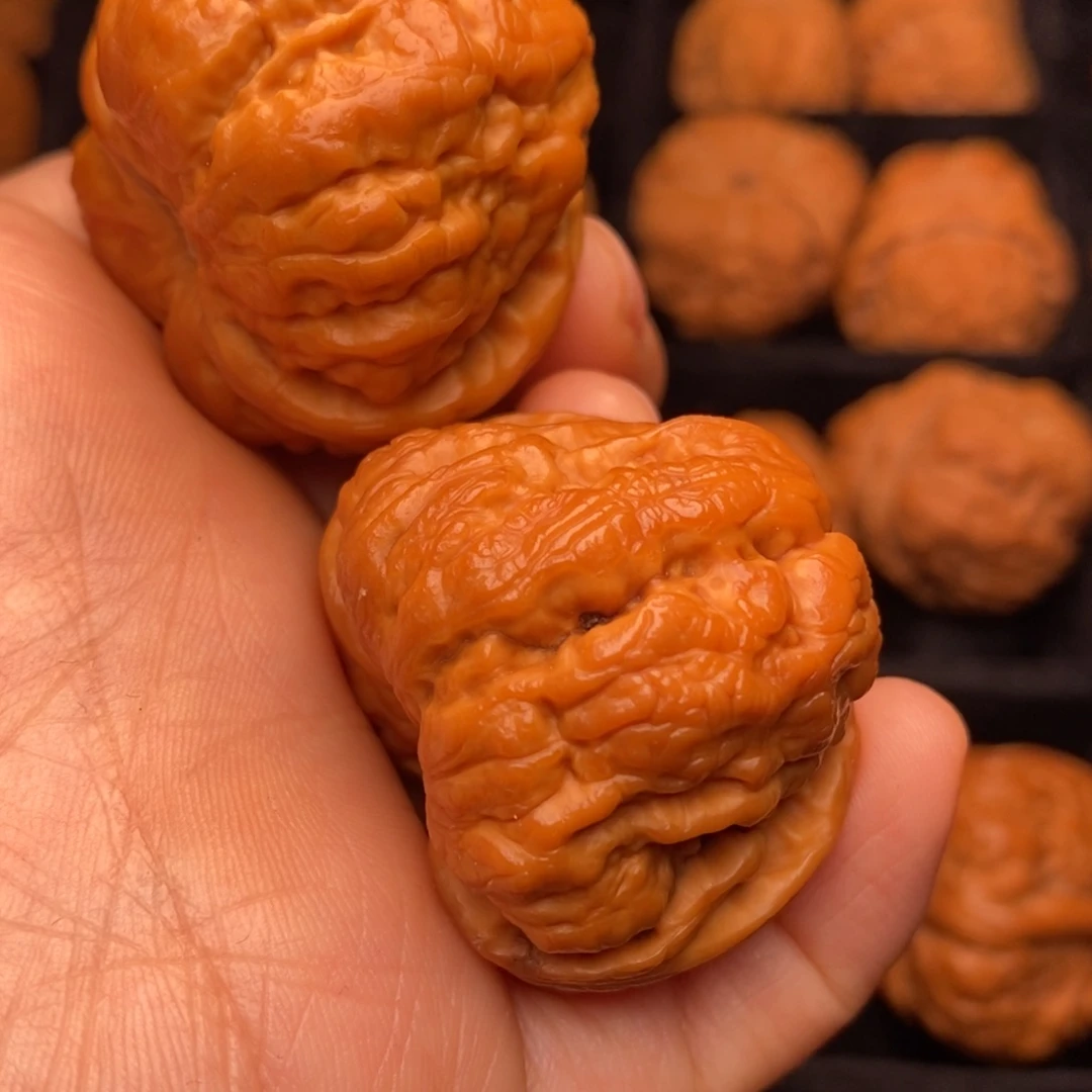 文玩核桃把件秦岭野生核桃