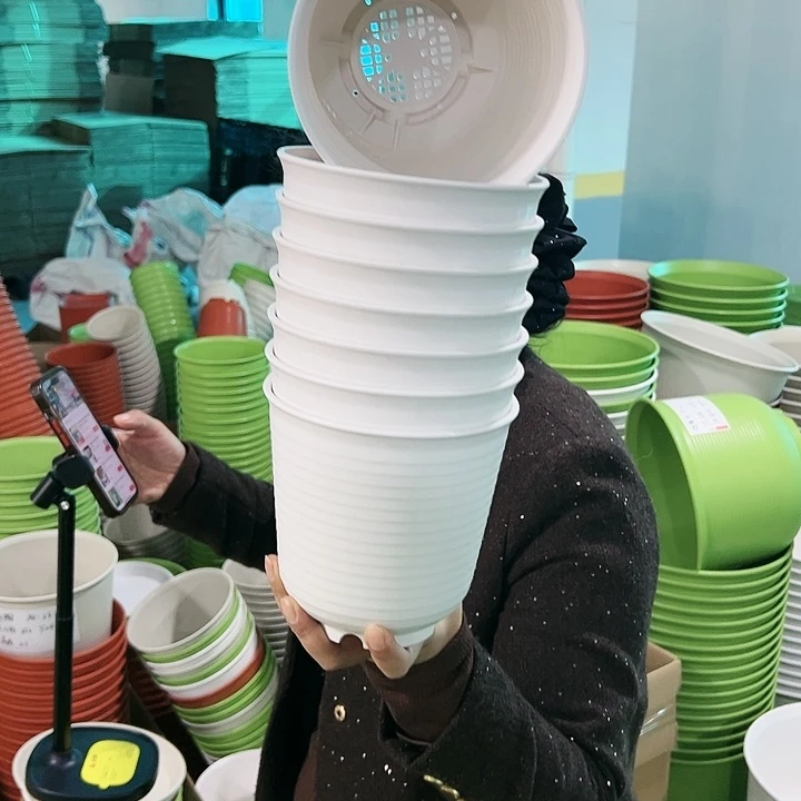 正品高陶口15高15米色无托8只