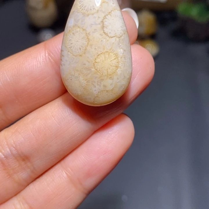 【闪购商品】未镶嵌珊瑚玉硅化玉