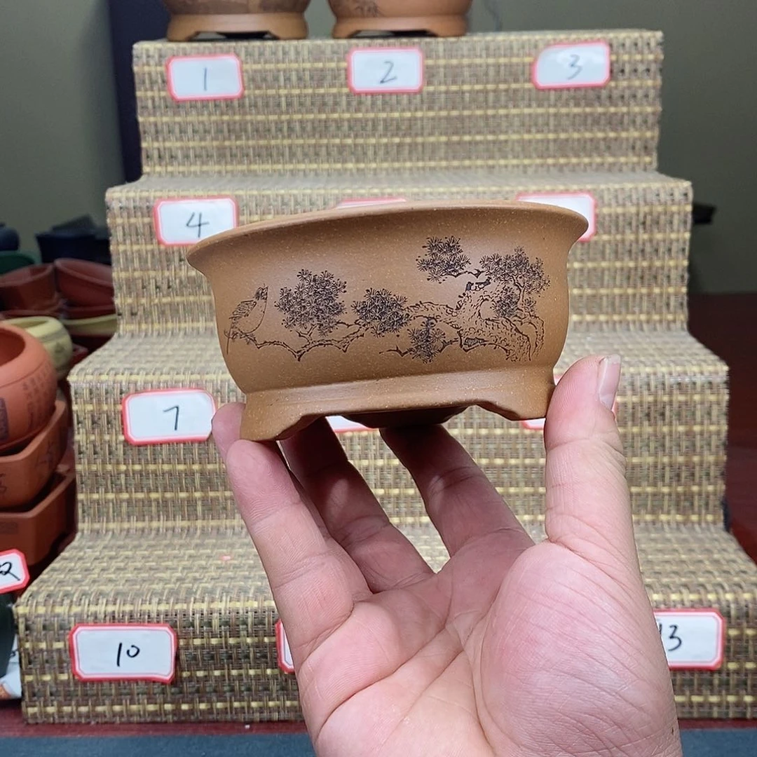 紫砂花盆在看了两