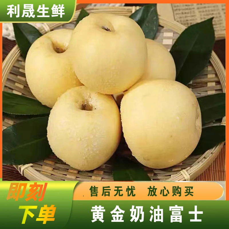 正宗山东烟台栖霞黄金奶油富士苹果4.5斤9-12个